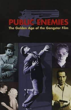 Public Enemies: The Golden Age of the Gangster Film
