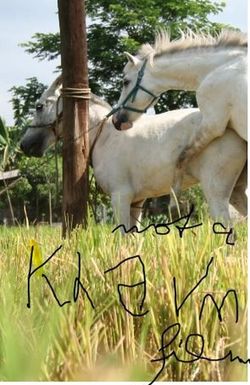 The Muzzled Horse of an Engineer in Search of Mechanical Saddles