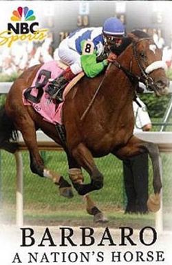Barbaro: A Nation's Horse