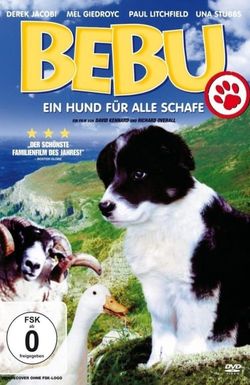 Mist: The Tale of a Sheepdog Puppy