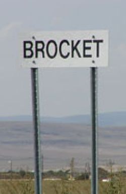 Brocket 99: Rockin' the Country