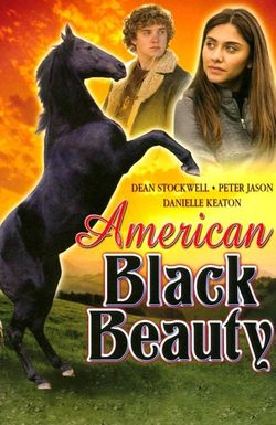 American Black Beauty