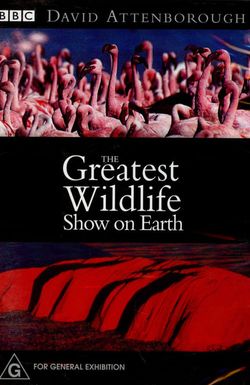 The Greatest Wildlife Show on Earth