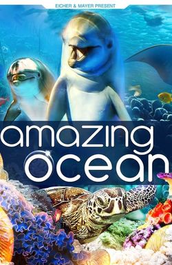 Amazing Ocean 3D
