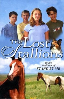 The Lost Stallions