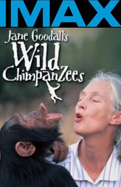 Jane Goodall's Wild Chimpanzees