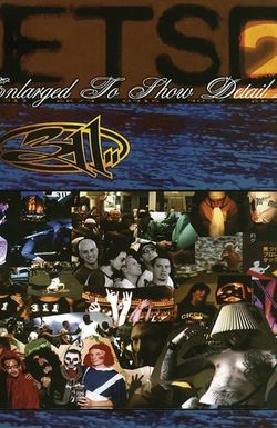 311: Enlarged to Show Detail 2