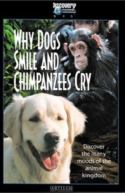 Why Dogs Smile & Chimpanzees Cry