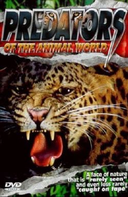 Predators of the Animal World