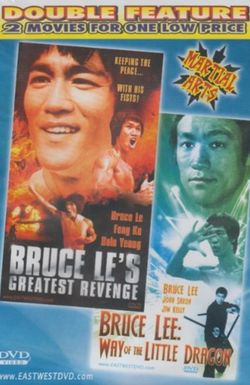 The Way of the Little Dragon