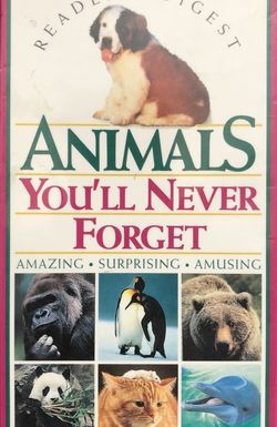 Animals You'll Never Forget