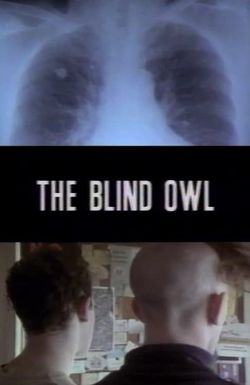The Blind Owl