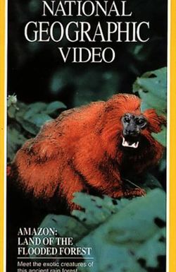 Amazon: Land of the Flooded Forest