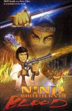 Ninja Knight Brothers of Blood