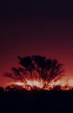 The Second Journey (To Uluru)