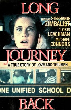 Long Journey Back