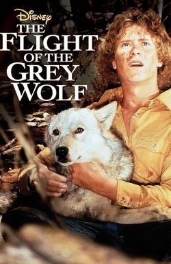 The Flight of the Grey Wolf