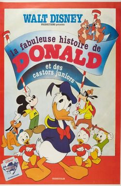 Donald Duck's Frantic Antic