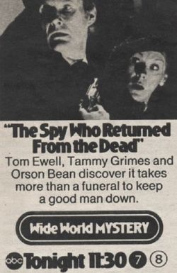 The Wide World of Mystery