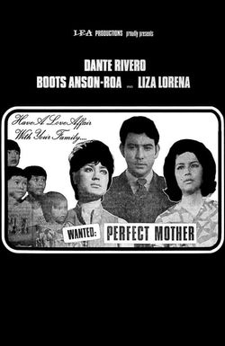 Wanted: Perfect Mother