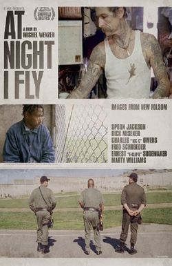 At Night I Fly