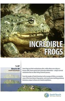 Incredible Frogs