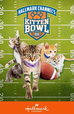 Kitten Bowl III