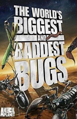 World's Biggest and Baddest Bugs