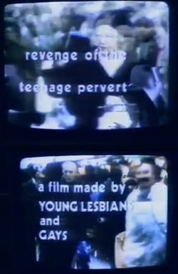 Framed Youth: The Revenge of the Teenage Perverts