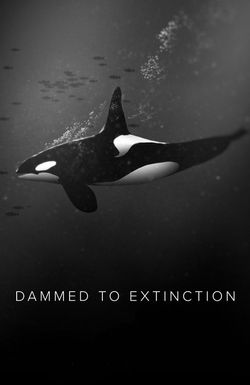 Dammed to Extinction