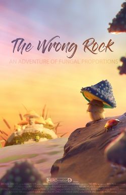 The Wrong Rock