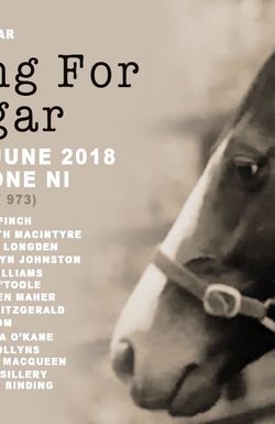 Searching for Shergar