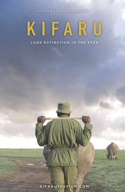 Kifaru