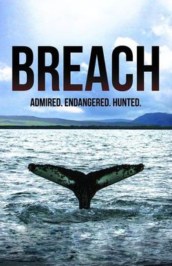 Breach