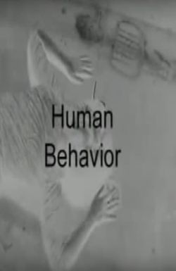 Human Behavior