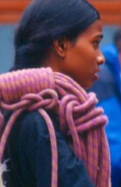 Sherpa: The Proving Grounds