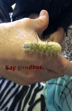Say Goodbye