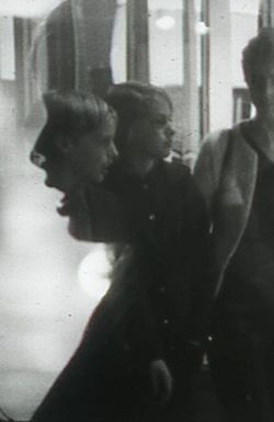 Image, Flesh and Voice