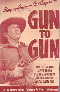 Gun to Gun