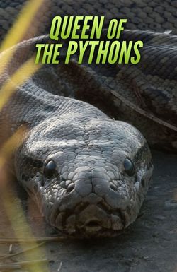 Queen of the Pythons