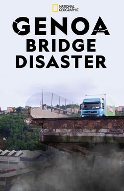 Why Bridges Collapse