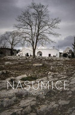 Nasumice