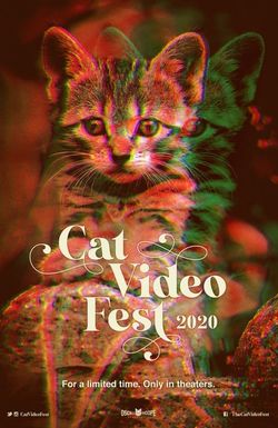 CatVideoFest 2020