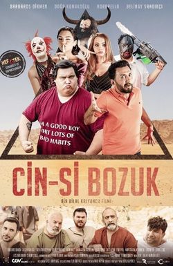 Cin-Si Bozuk
