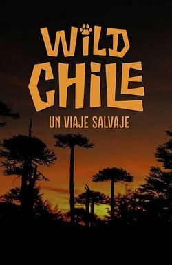 Wild Chile