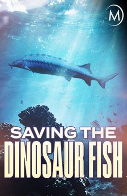 Saving the Dinosaur Fish