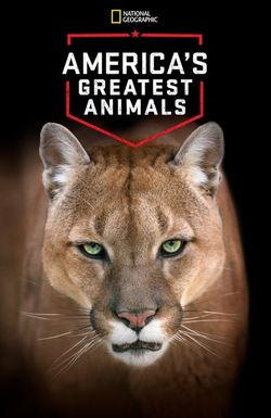 America's Greatest Animals