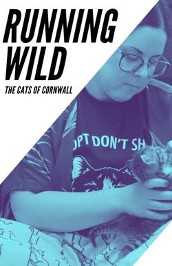 Running Wild: The Cats of Cornwall