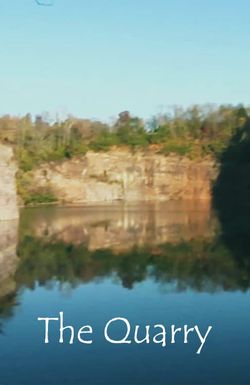 The Quarry: 2011