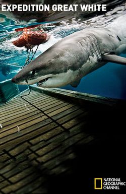Expedition Great White